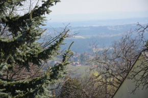 Weingut Seiner vlg. Kraxner, Greisdorf, Österreich
